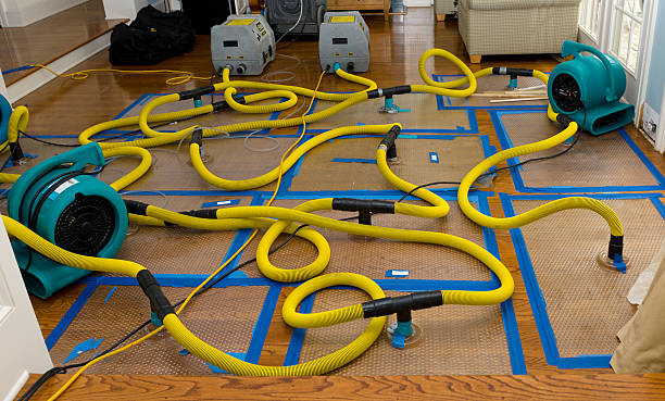 Professional Flood Damage Restoration technician working in New Hudson, MI