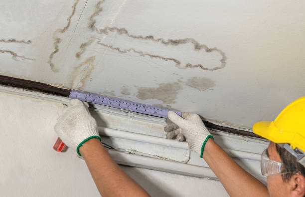 Affordable Water Damage Repair solutions in New Hudson, MI